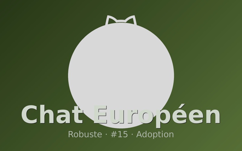 Photo Chat Européen